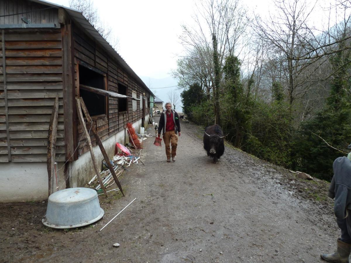 gite le Clot Seix Extérieur photo